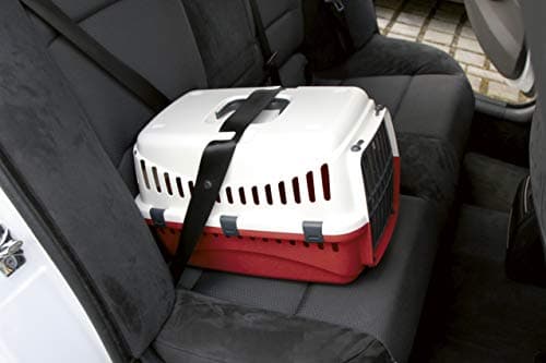 Kerbl Transport Box Expedion with Plastic Door, 45 x 30 x 30 cm, Creme/ Bordeaux — view 6