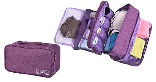 Bansga Bra Organizer Bag Underwear Pouch Waterproof Personal Garment Bag Case (purple)