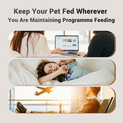 IMIPAW Automatic Cat Feeder: 2 Bowls, App Control, 5G WIFI Auto Pet Feeders — view 6
