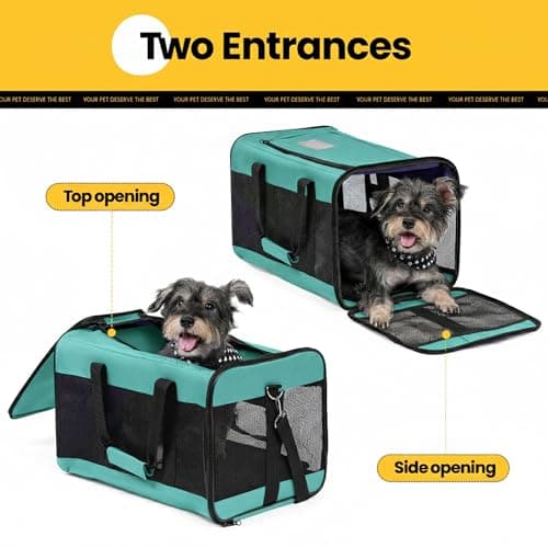 Conlun Dog Carrier Soft Sided, Large Cat Carrier with Inner Safety Leash, Pet Transport Carrier for Large Cats and Medium Dogs up to 10 KG, Collapsible Travel Puppy Carrier Bag -Turquoise, L — view 3