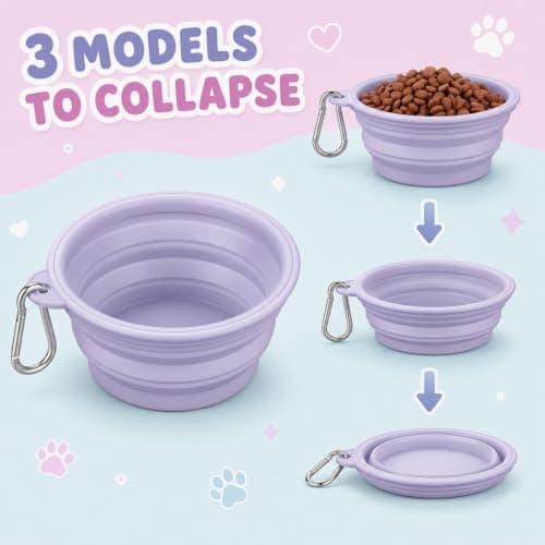 4PCS Collapsible Dog Bowl, Collapsible Dog Water Bowl, Portable Dog Bowl for Use — view 4