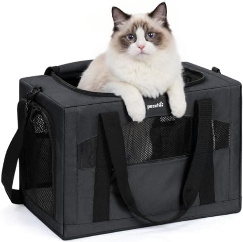 pecute Cat Carrier XL, Extra Large Stable Cat Carrier Handbag, Dark Grey