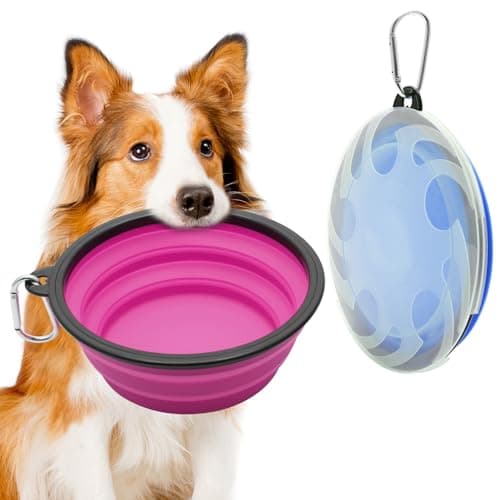2 Pack Large Collapsible Dog Bowl, 1000ml/35oz Foldable Dog Travel Bowls, Portable Dogs Water Food Bowl with Carabiner, Pet Cat Feeding Cup Dish for Traveling, Walking (Blue + Purple)