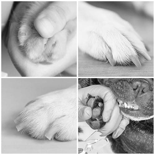 Pet Nail Grinder for Dogs 3-Speed Digital Display Low Noise Safe Grooming — view 4