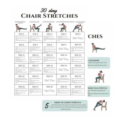 Chair Yoga for Seniors | 30-Day Fitness Poster,Chair Exercise Chart - for Adults Beginners Travel Morning Working Fitness Friends Sports Athletes Gym Strength — view 6