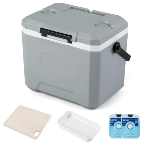 COSTWAY 12L/16L/21L/41L Insulated Cool Box (Gray, 41 x 27 x 32 cm)