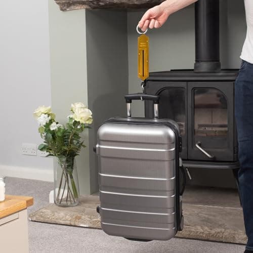 50Kg Luggage Scale Spring balance hanging weighing luggage Suitcase fish Weight scale Fishing Scale Heavy Duty Weighing Balance for Home Farm Food Market — view 5