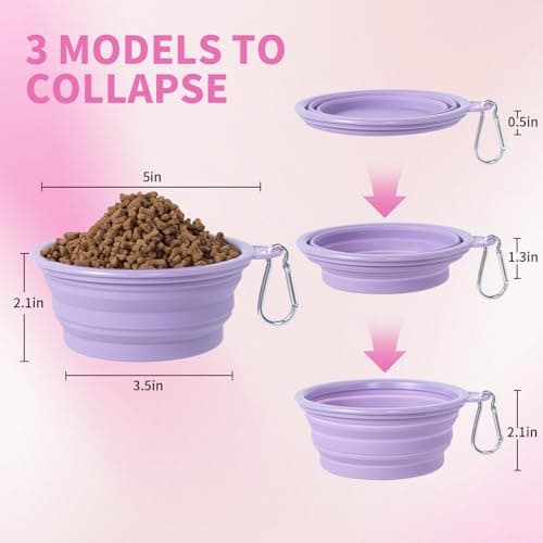 SLSON Collapsible Dog Bowl, 2 Pack Macaron Color Foldable Travel Dog Feeder Bowl Portable Silicone Pet Food Water Dish for Dogs Cats Camping Hiking (Macaron Rose and Violet) — view 3