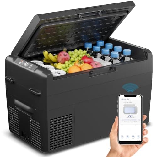 Feelfunn 12V Refrigerator 27QT Portable Freezer Electric Cooler Black