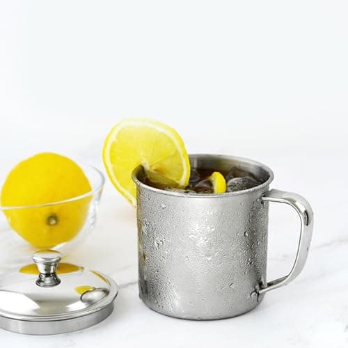 Jelquix 304 Stainless Steel Insulated Mug for Home Office Travel (Small)