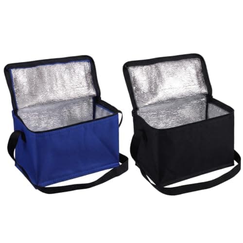 2 Pcs Small Cooler Bag, Small Cool Bags, Cooler Bag Small, Thermal Cooler Bag for Work School Travel, Office Meals and Outdoor Activities, Camping, Picnic, Beach, Bbq and Gift