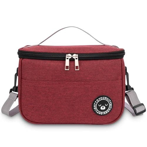 BEHONA 6.4L Insulated Lunch Bag, Cool Bag, Foldable Cooler Bag, Picnic Bag