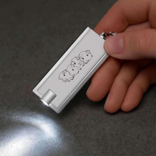 Azeeda 'Baby Guinea Pigs' LED Keyring Torch (KT00009478) — view 5