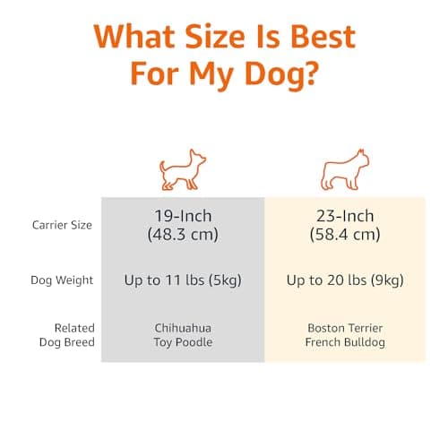 Amazon Basics Hard-Sided Cat Carrier, Two-Door Top-Load Pet Dog/Cat Travel Box Carrier, Blue, 58 L x 38 W x 33 H cm — view 3