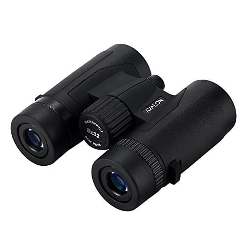 Avalon 8x32 MINI HD Binoculars (BLACK) — view 4