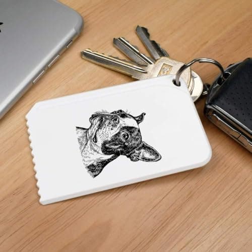 Azeeda 'Boston Terrier Portrait' Car Ice Scraper (IC00053556) — view 2