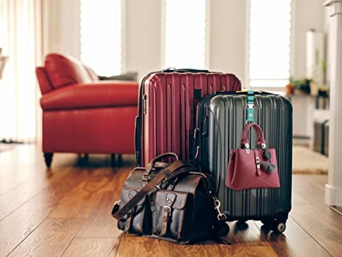 2PCS Heavy Duty Add a Bag Luggage Strap Jacket Gripper,Carry-on Baggage Suitcase Straps Belts Travel Accessories,Carry Your Extra Bag Straps(Teal) — view 5