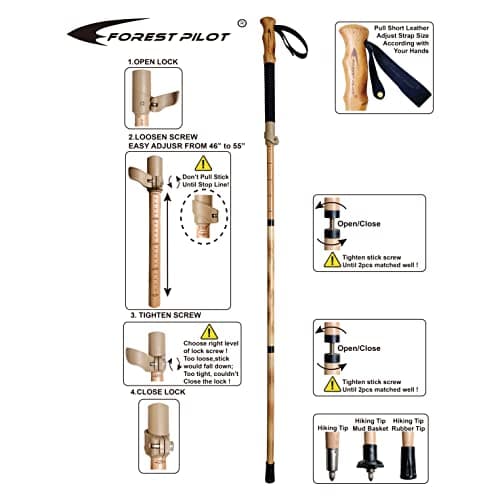 FOREST PILOT Trekking Poles- 1-pc Pack - Adjustable Hiking or Walking Stick –Strong, Natural Beech wood - Quick Adjust Flip-Lock - Beech wood Grip, Leather Strap (Black) — view 3