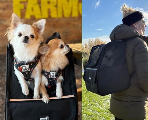 Pecute Cat Backpack Breathable, Cat Carrier Backpack Lightweight and Portable, Dog Backpack with Safety Rope, Carrier for Pets up to 6kg, Adjustable Pet Backpack for Travel, Hiking, Walking, Black — view 3