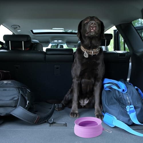 SLSON Non Spill Dog Water Bowl for Car Collapsible Dog Travel Bowl Integrated Molding Portable Pet Drinking Bowl for Road Trip (Light Purple) — view 6