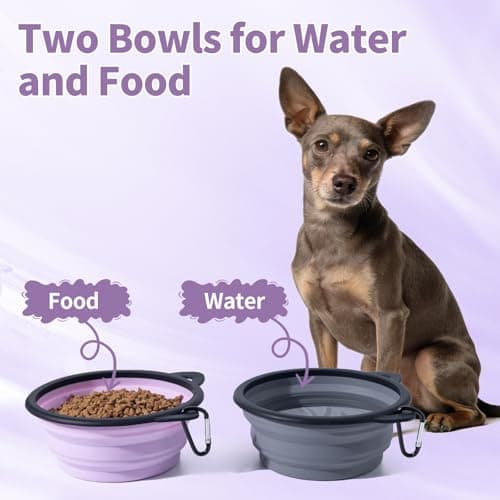 SLSON Silicone Collapsible Dog Bowl, 2 Pack Portable Dog Travel Bowl, Cute Cat Pattern Pet Feeding Bowl 750ml Large Foldable Food & Water Bowl with Carabiner (Purple+Grey) — view 4