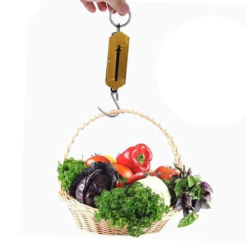 50Kg Luggage Scale Spring balance hanging weighing luggage Suitcase fish Weight scale Fishing Scale Heavy Duty Weighing Balance for Home Farm Food Market — view 2
