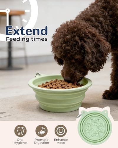 ETIALURE Collapsible Dog Bowl, Portable Dog Travel Bowl for Hiking (Green) — view 3
