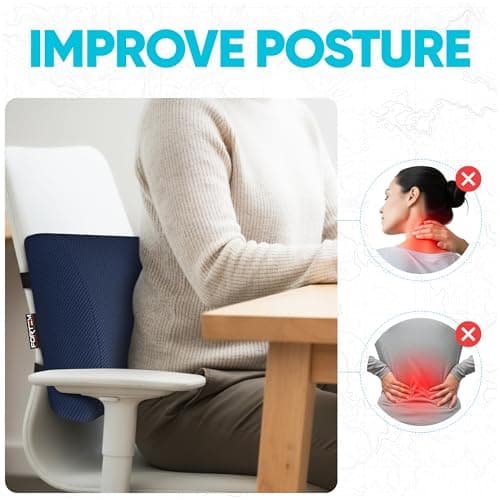 FORTEM Lumbar Support Cushion For Office Chair Back Support Pillow For Car — view 5