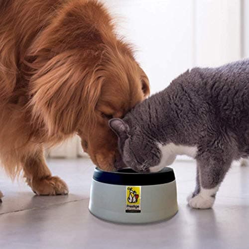 Road Refresher Prestige Non Spill Pet Water Bowl, Grey, Large , Pack of 1 — view 4