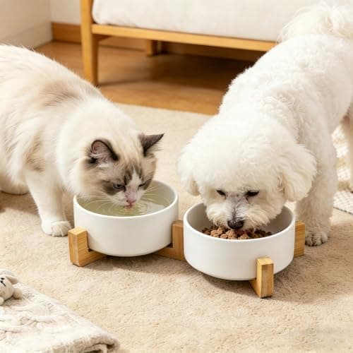Ceramic Cat Bowls with Bamboo Stand, Double Elevated Pet Feeding Bowls, 400ml Each, Removable Non Slip Food and Water Bowls, Stable Base for Cats & Small Dogs, White (Set of 2) — view 6