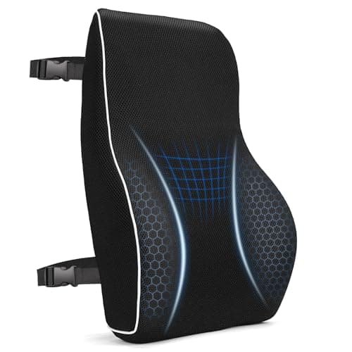 GOXIFACA Lumbar Support Cushion, Memory Foam Back Support for Office Chair