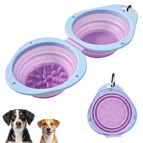 2-in-1 Collapsible Dog Bowl, Portable Silicone Travel Water Bowl