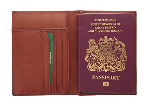 VISCONTI Polo Collection Leather Passport Holder RFID Blocking 2201 Brown