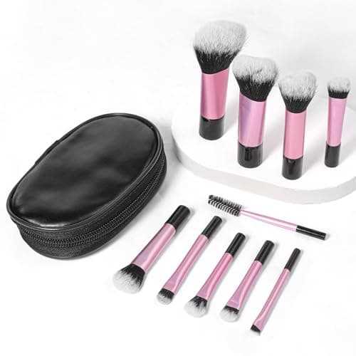 HJZHII 10 Pcs Mini Travel Makeup Brush Set with Pouch, Travel Make up Brush
