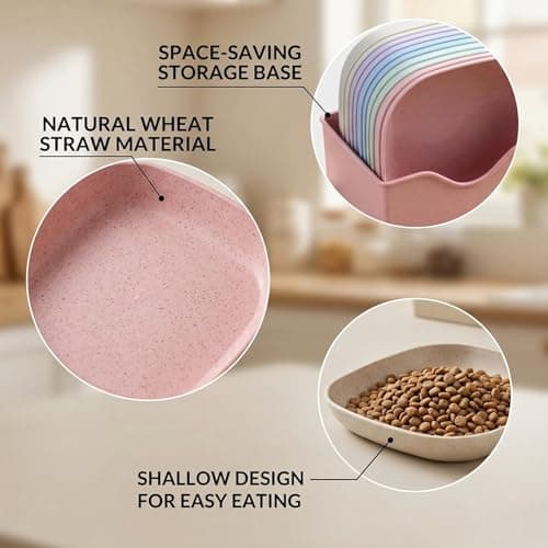 Cat Bowls 10 Pack Whisker Friendly Cat Dishes and Bowls, Shallow Cat Food Bowls for Organised Feeding, Cat Dishes and Pet Bowls for Multiple Cats — view 4
