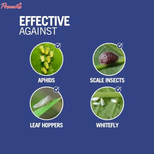 Provanto Smart Bug Killer, 1L - Fast Acting Bug Killer Spray - Stops Pests In 1 Hour - Insect Repellant - Contact And Systemic Insecticide With 8 Weeks Protection — view 4