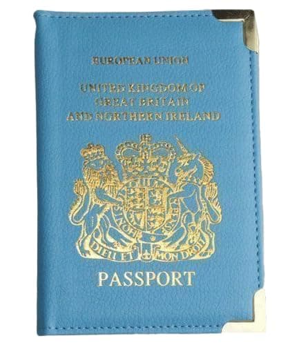 AlezyB - British Passport Holder, Portable Wallet Case Organiser Passport Wallet for Men, Women, PU Leather Cover for Travel, Business Cards, Credit Cards and Boarding Passes (Sky Blue) — view 2
