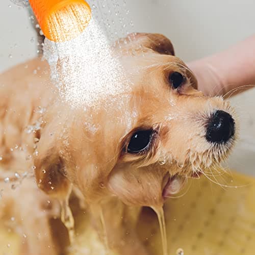 Outdoor Shower for Dogs Portable Dog Shower Head Mud Travel Shower Outdoor Shower Bottle Attachment Outdoor Water Sprayer Accessory Suitable for Dog Hiking Beach Camping, 2PCS — view 5