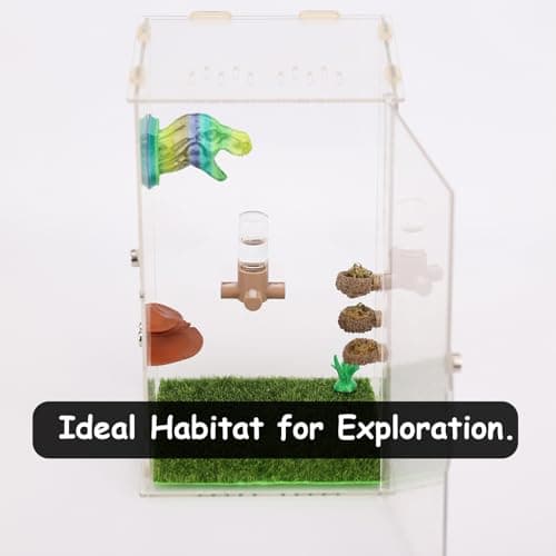 Daerky Jumping Spider Water Dispenser, Magnetic Hanging Feeder,Suitable for Jumping Spiders,Tarantulas, Praying Mantises,Arboreal Animals, and Other Small Animal Enclosure Accessories,5ML (Pink) — view 3