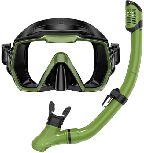 Honlanor Snorkel Set Adults Snorkeling Gear Anti-Leak and Anti-Fog Tempered Glass Lens Panoramic View Swim Mask Dry Top Snorkel Kit for Snorkeling Scuba Diving Swimming Travel with Carry Bag