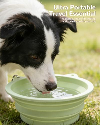 ETIALURE Collapsible Dog Bowl, Portable Dog Travel Bowl for Hiking (Green) — view 2