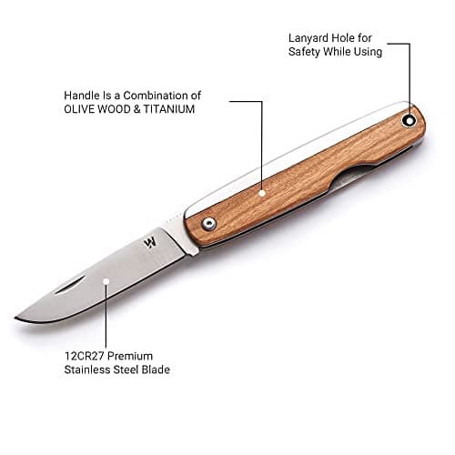 Whitby Pocket Knife, Stainless Steel Folding Knives Olive Wood Handle — view 6