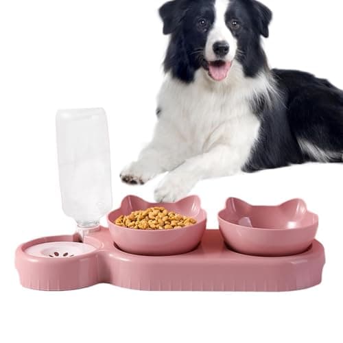 Dog Food Bowls, 15°Tilted Cat Dishes with Automatic Water Dispenser Bottle, Cat Feeding Bowl, 500ml Water Bottle, Pet Dish