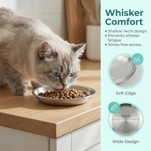 4 Pcs Cat Bowls Stainless Steel, 14cm Wide Shallow Kitten Bowls Set, Whisker Friendly Cat Food Bowl for Dry Wet Food, Small Pet Feeding Dishes — view 3