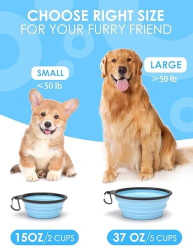 Heouvo Collapsible Dog Bowls with Bottle Carrier, 2 Pack Travel Dog Water Bowl with Upgraded Carabiner, One-piece Molded Rim No Fall Off or Crack (Sky Blue/Sprout Green, Small(Pack of 2)) — view 5