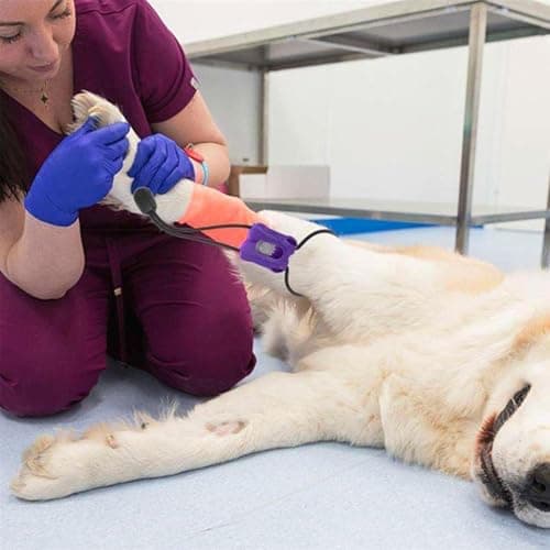 Pet Tourniquet Bandage - PP Mini Trauma Wrap Quick Release Bleeding Control Strap | Portable Veterinary Tool | Cat Dog Injury Care | Wound Support | Home Travel Clinic Safety Use — view 3