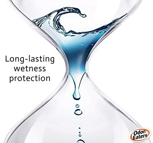 Odor-Eaters, 24 Hour Odour Destroying Antiperspirant Foot and Shoe Spray for Sport Shoes, 150 ml — view 5