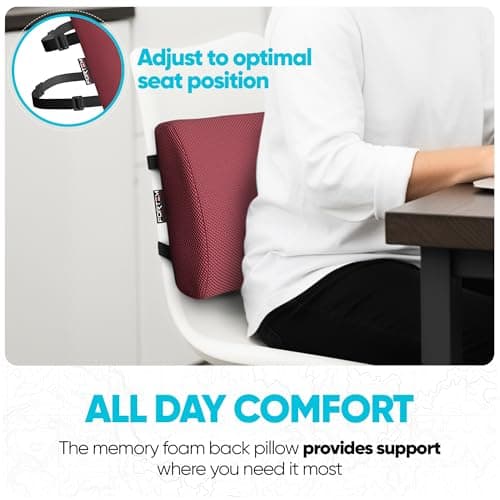 FORTEM Lumbar Support Cushion For Office Chair Back Support Pillow For Car — view 3