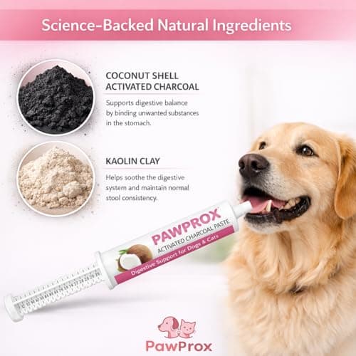 PawProx Activated Charcoal Gel for Dogs for Poisoning, 30 cc Dog First Aid Activated Charcoal, Animal Use Only Dogs and Cats Poisoning First Aid — view 5