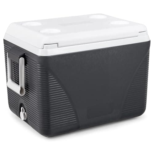 COSTWAY 12L/16L/21L/41L Insulated Cool Box (Black, 56 x 39 x 41 cm)